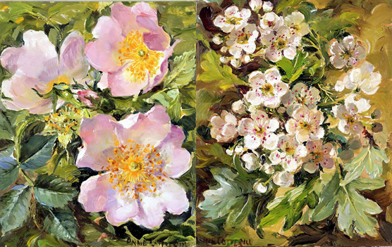 Briar Roses and Hawthorn Blossom note cards by Anne Cotterill Flower Art