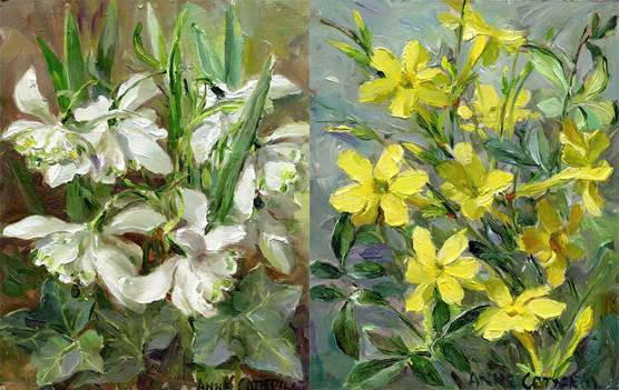 Winter Jasmine and Double Snowdrops note cards by Anne Cotterill Flower Art