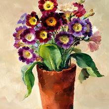 Auricula blank greetings card by Anne Cotterill