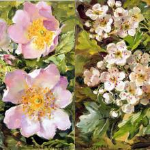 Briar Roses and Hawthorn Blossom note cards by Anne Cotterill Flower Art