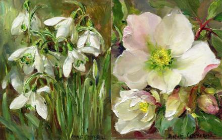 Snowdrops / Christmas Roses small note cards by Anne Cotterill Flower Art
