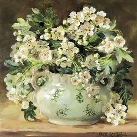 Hawthorn Blossom blank card by Anne Cotterill Flower Art
