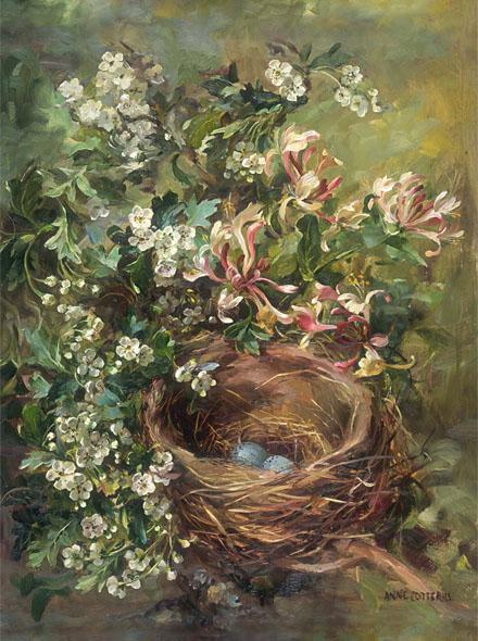 Hawthorn and Honeysuckle greetings card by Anne Cotterill