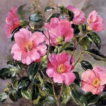 Camellias - Birthday Card by Anne Cotterill