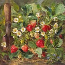 Luscious Strawberries - blank card by Anne Cotterill