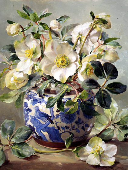 White Hellebores in a Chinese Vase Christmas Card