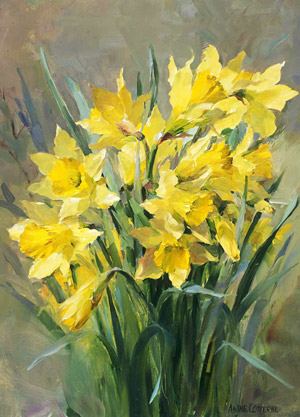 Wild Daffodils - blank card