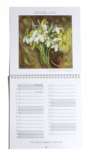 Anne Cotterill Calendar 2022 -  on walll